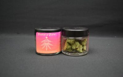 Experienced Users Love Items Such as the Jet Fuel Gelato Strain