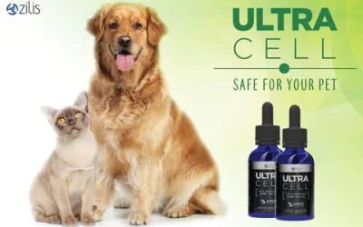 Try Full-Spectrum CBD Oil for Dogs If Your Pet Is Suffering