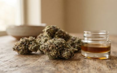 A Practical Guide to THCA Safety, Legality, and Use in the USA