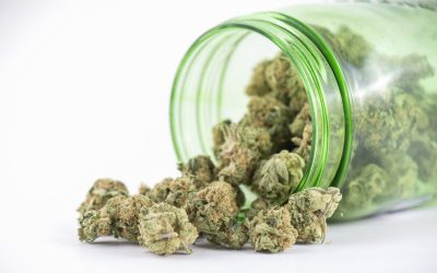 A Practical Guide to Safe, Reliable Dispensary Delivery in Township